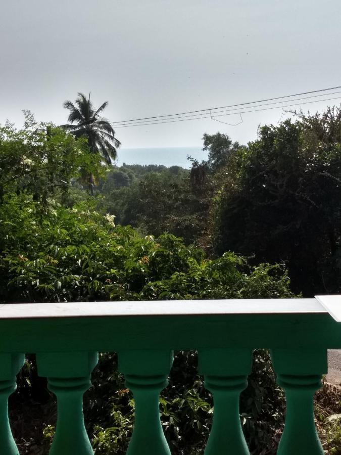 House Agonda